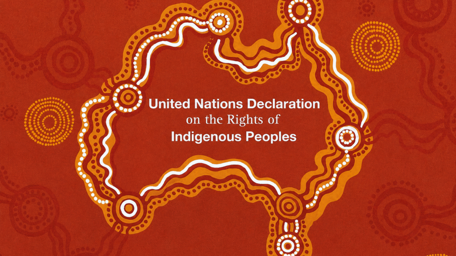 UN Declaration on the Rights of Indigenous Peoples