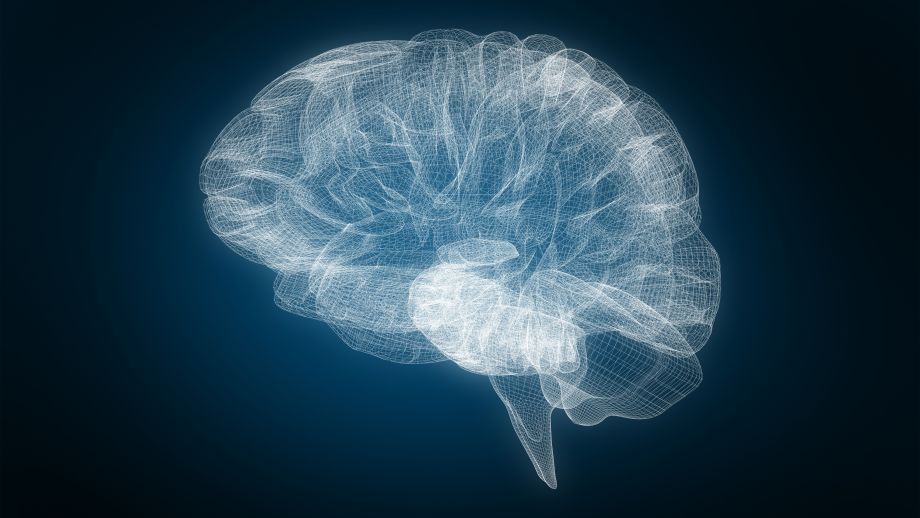 Image of brain