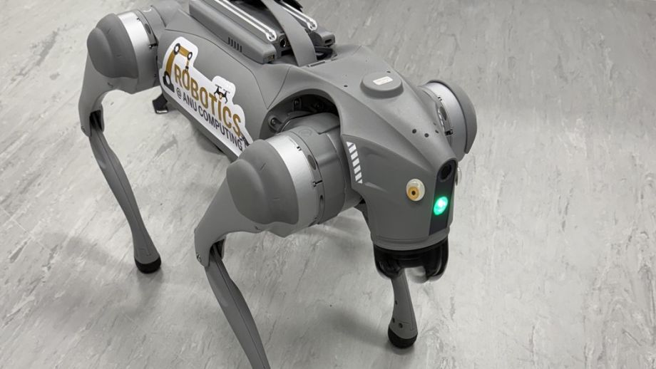 Robot dog