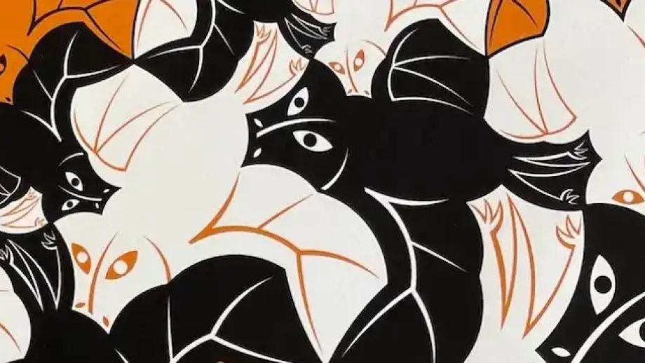 Black, white and orange illustration